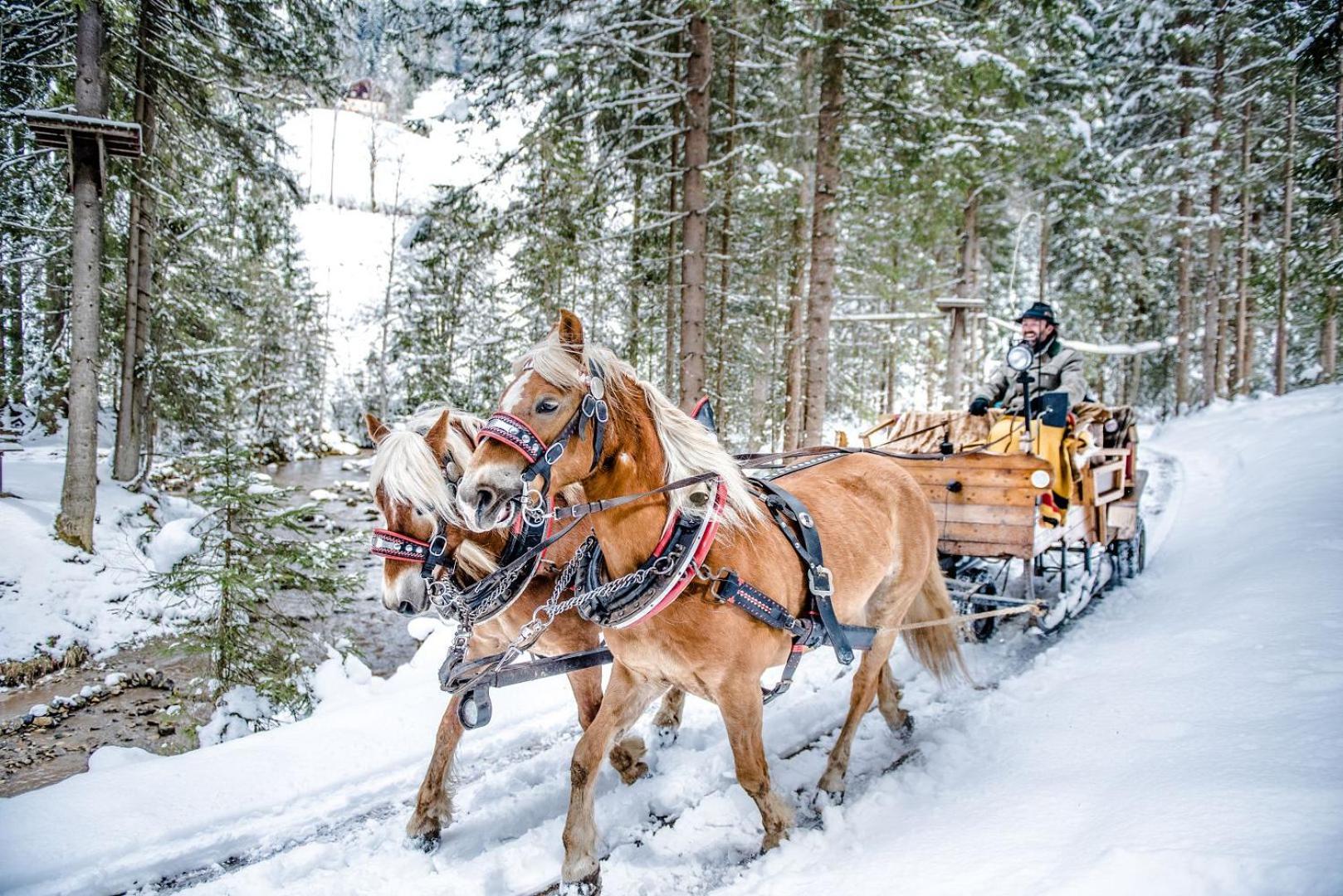 Hotel Sportalmmm, Hoch-Genuss (Adults Only) Цаухензее Экстерьер фото
